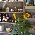 Mobil 4 Pers, Terrasse, Cuisine Equipee - Api-1-52-409 Camping *