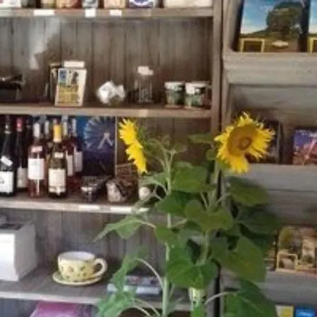 Mobil 4 Pers, Terrasse, Cuisine Equipee - Api-1-52-409 Kamp alanı *
